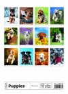 H34 Kalendarz ścienny wieloplanszowy Puppies 2026
