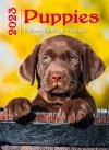 Kalendarz ścienny wieloplanszowy Puppies 2023 - okładka 