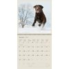 Kalendarz ścienny wieloplanszowy Psy 2024 z naklejkami - przykładowa kartka z kalendarza
