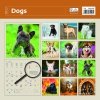 Kalendarz ścienny wieloplanszowy Dogs 2023 z naklejkami - okładka tylna