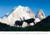 Kalendarz ścienny wieloplanszowy Alps 2023 - wrzesień 2023