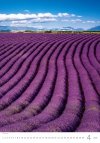 H15 Kalendarz ścienny wieloplanszowy Provence 2026 Z NADRUKIEM