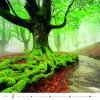 H31 Kalendarz ścienny wieloplanszowy Forest 2026