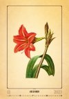 Kalendarz ścienny wieloplanszowy Herbarium 2023 - grudzień 2023