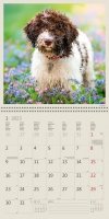Kalendarz ścienny wieloplanszowy Dogs 2023 z naklejkami - styczeń 2023