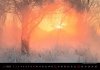 Kalendarz ścienny wieloplanszowy Landscapes 2025 - luty 2025