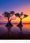 Kalendarz ścienny wieloplanszowy Nature Emotions 2025 - czerwiec 2025