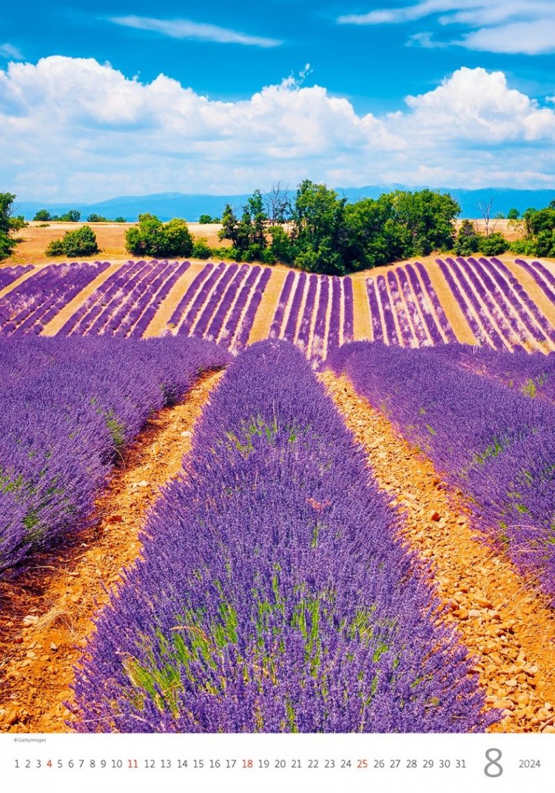 Kalendarz ścienny wieloplanszowy Provence 2024 - sierpień 2024