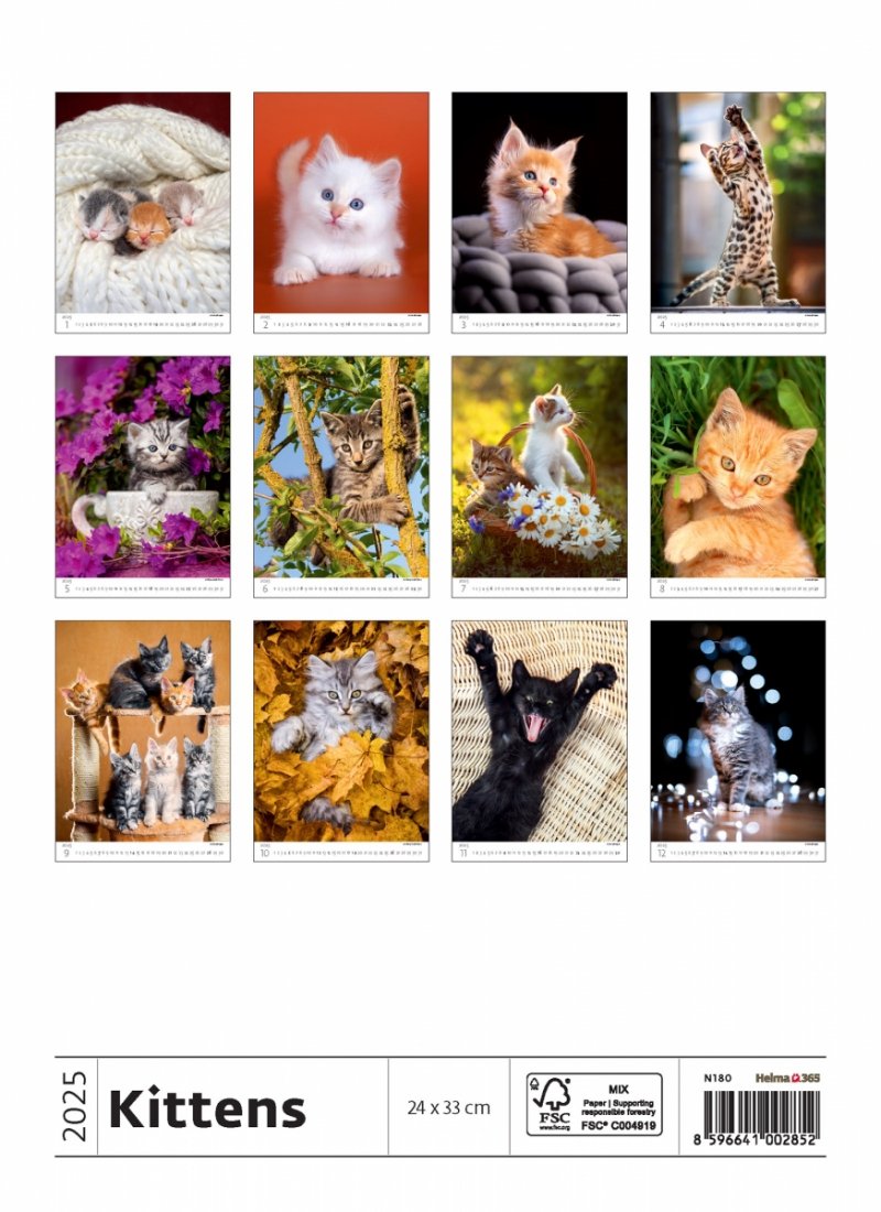Podgląd wszystkich zdjęć z kalendarza Kittens na rok 2025