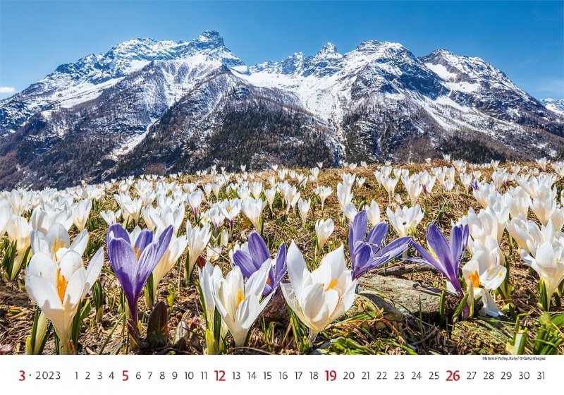 Kalendarz ścienny wieloplanszowy Alps 2023 - marzec 2023