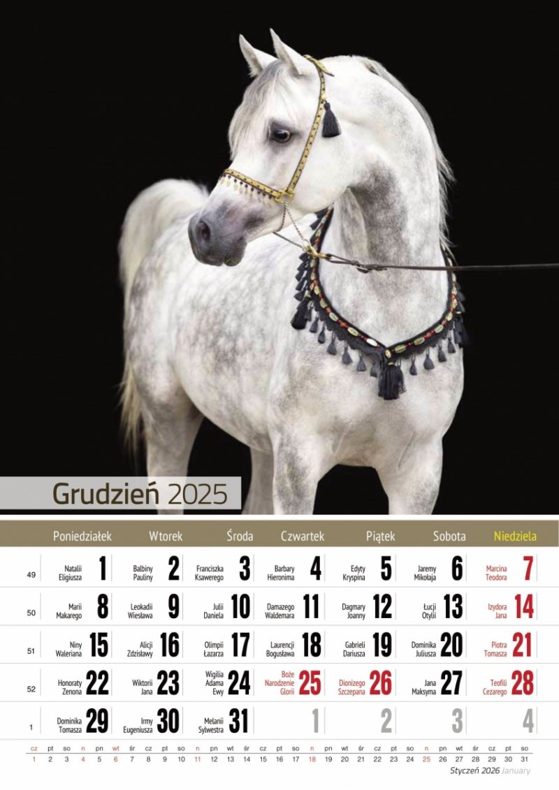 Kalendarz ścienny wieloplanszowy A4 KONIE 2025 - grudzień 2025