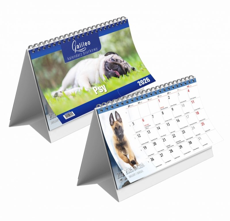 kalendarz na biurko na podstawce kartonowej