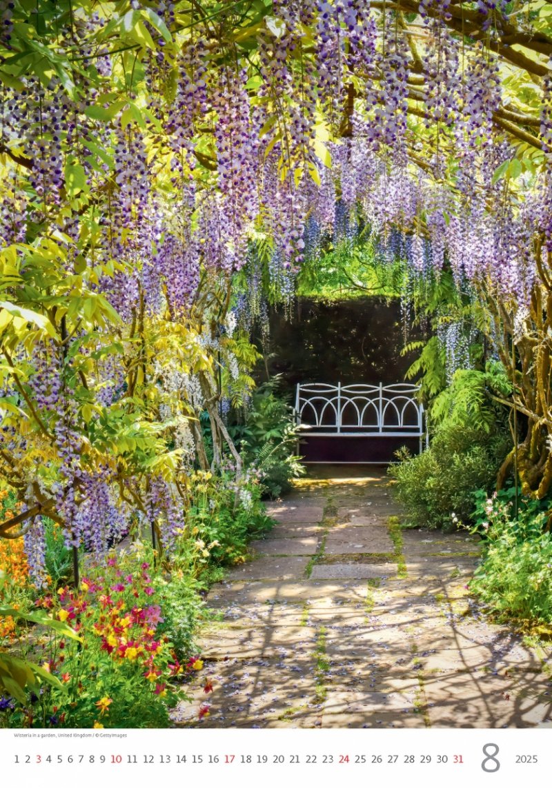 Kalendarz ścienny wieloplanszowy Romantic Corners 2025 - sierpień 2025