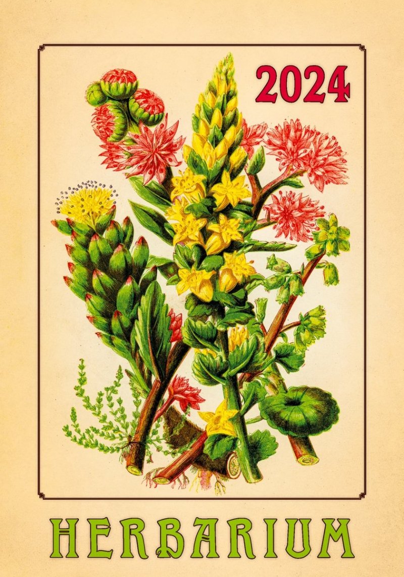 Kalendarz ścienny wieloplanszowy Herbarium 2024 - okładka