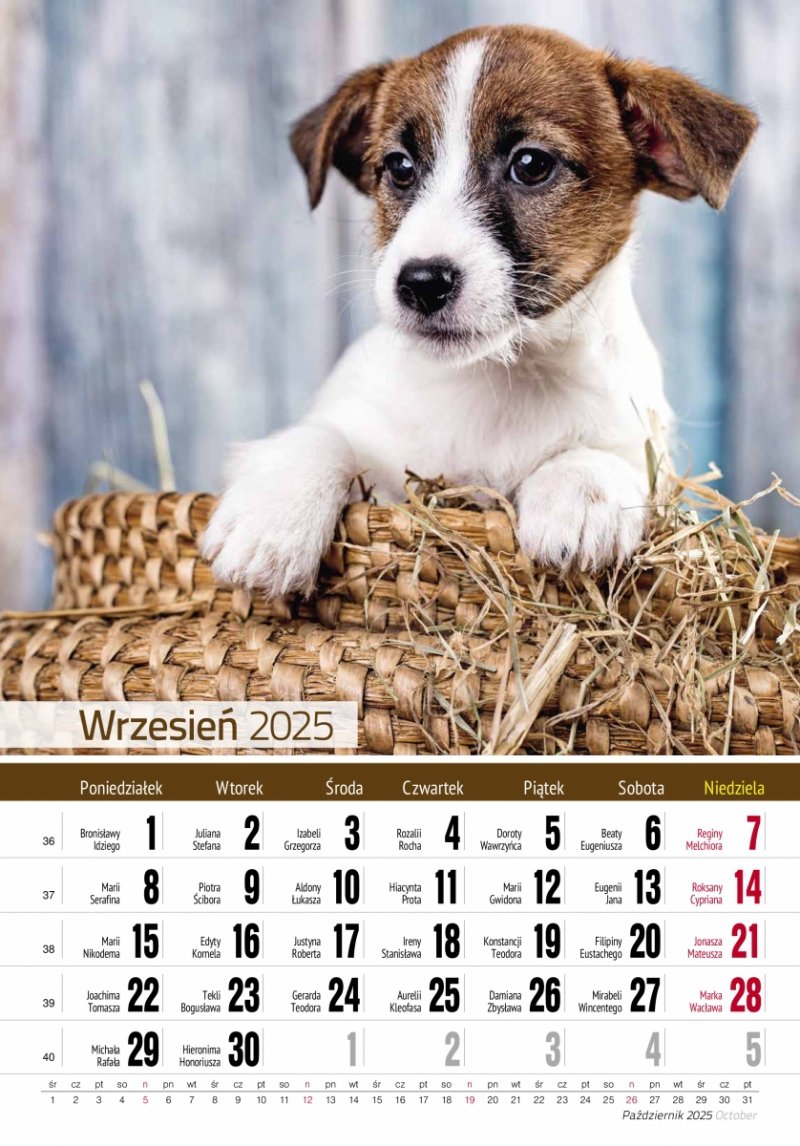 Kalendarz ścienny wieloplanszowy PRZYJACIELE 2025 - wrzesień 2025