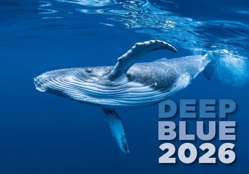 H11 Kalendarz ścienny wieloplanszowy Deep Blue 2026