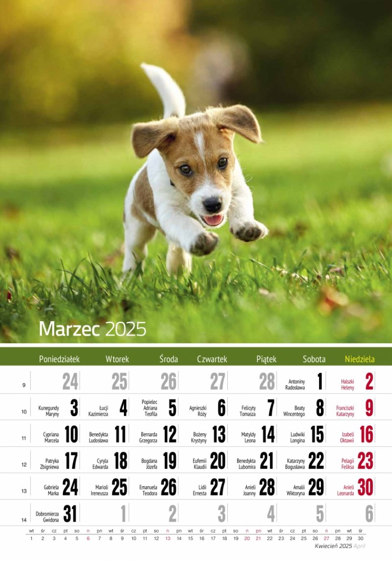 Kalendarz ścienny wieloplanszowy PRZYJACIELE 2025 - marzec 2025