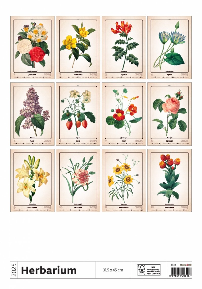 Podgląd wszystkich zdjęć z kalendarza Herbarium na rok 2025
