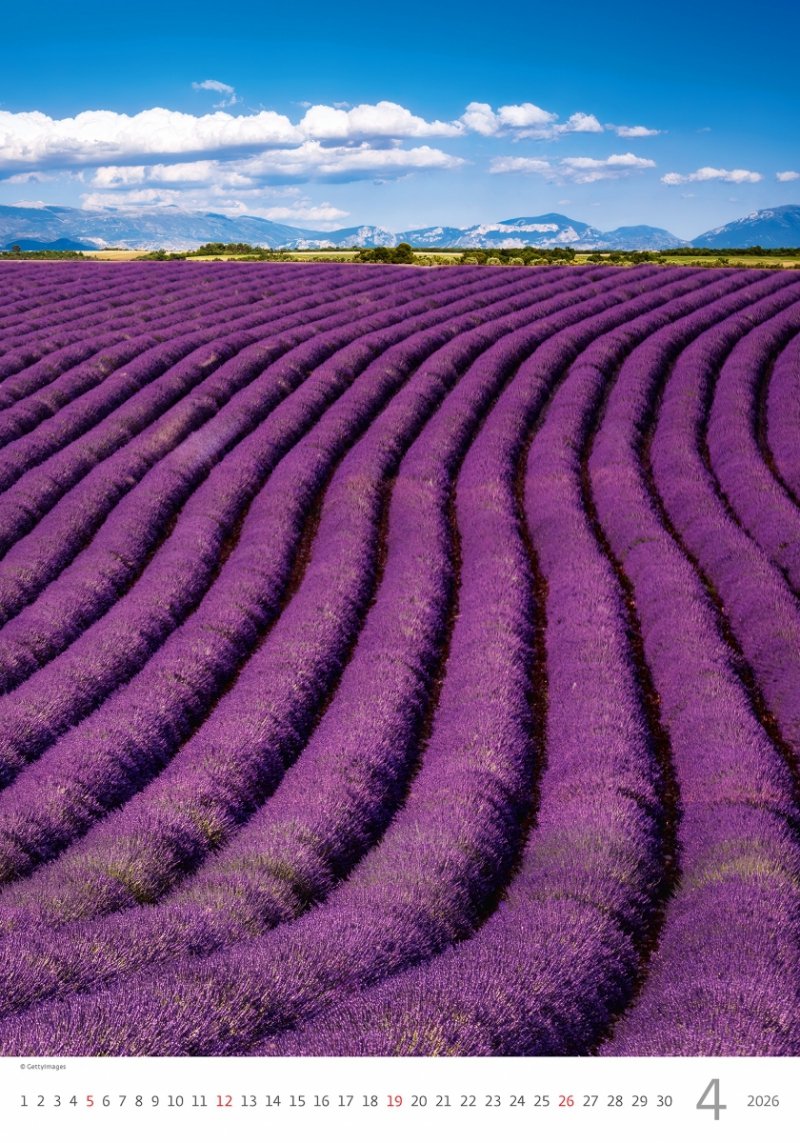 H15 Kalendarz ścienny wieloplanszowy Provence 2026 Z NADRUKIEM