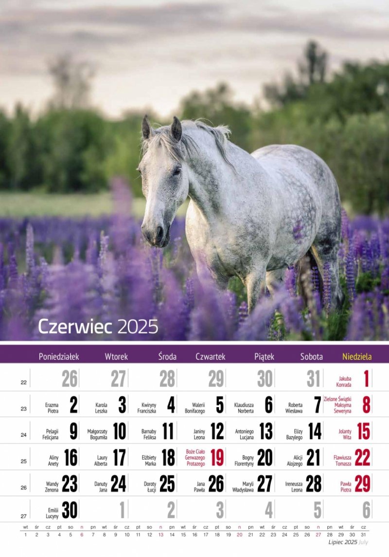 Kalendarz ścienny wieloplanszowy KONIE 2025 - czerwiec 2025