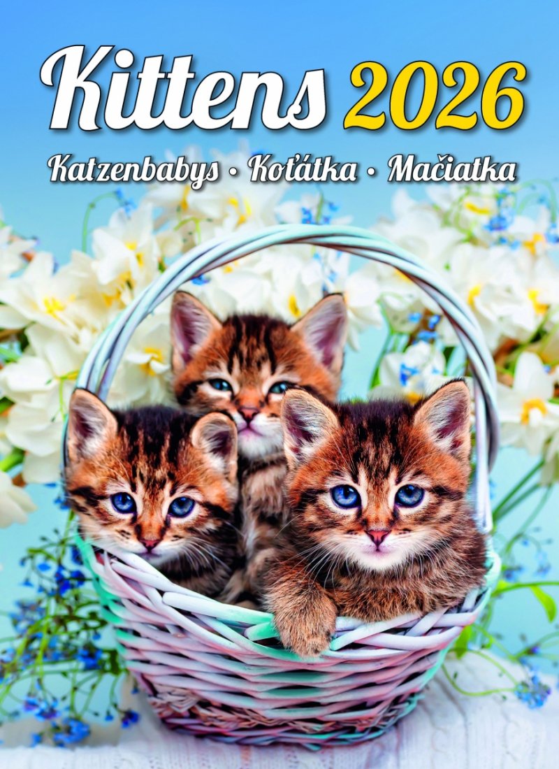 H33 Kalendarz ścienny wieloplanszowy Kittens 2026