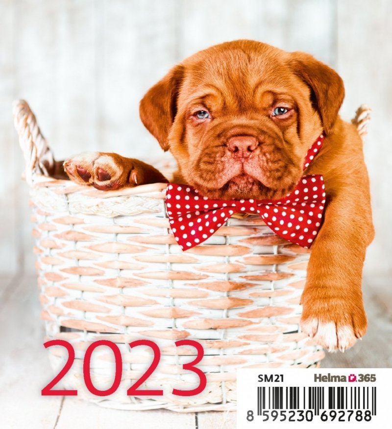 Kalendarz biurkowy 2023 Pieski (Puppies) - okładka 
