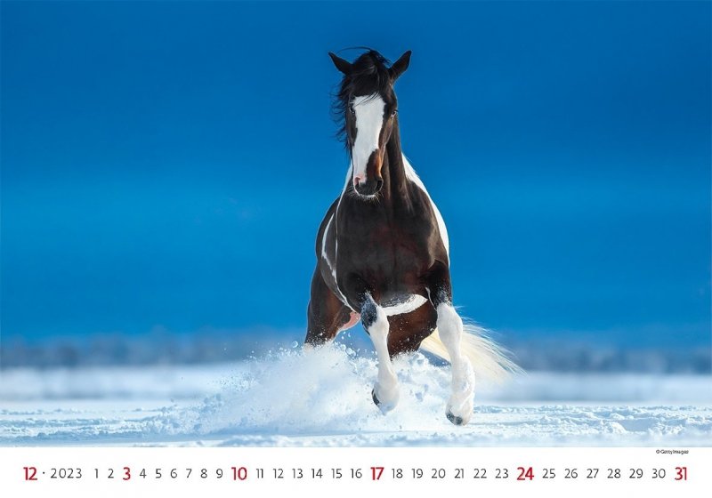 Kalendarz ścienny wieloplanszowy Horses 2023 - grudzień 2023