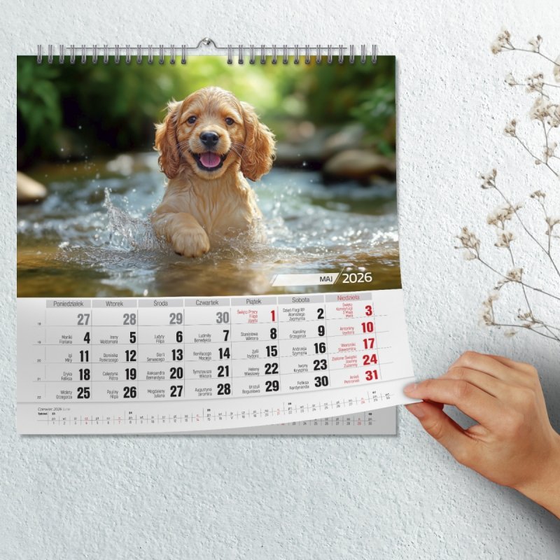 Kalendarz ścienny wieloplanszowy 33x33 cm PRZYJACIELE 2026