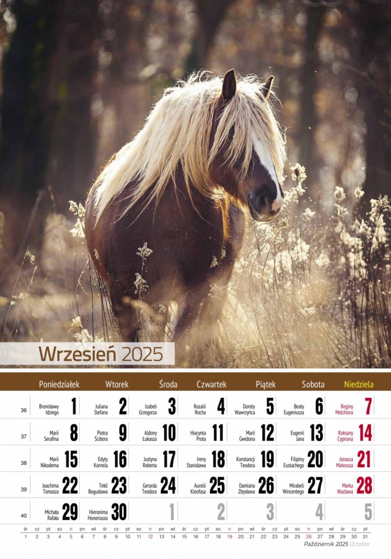 Kalendarz ścienny wieloplanszowy KONIE 2025 - wrzesień 2025