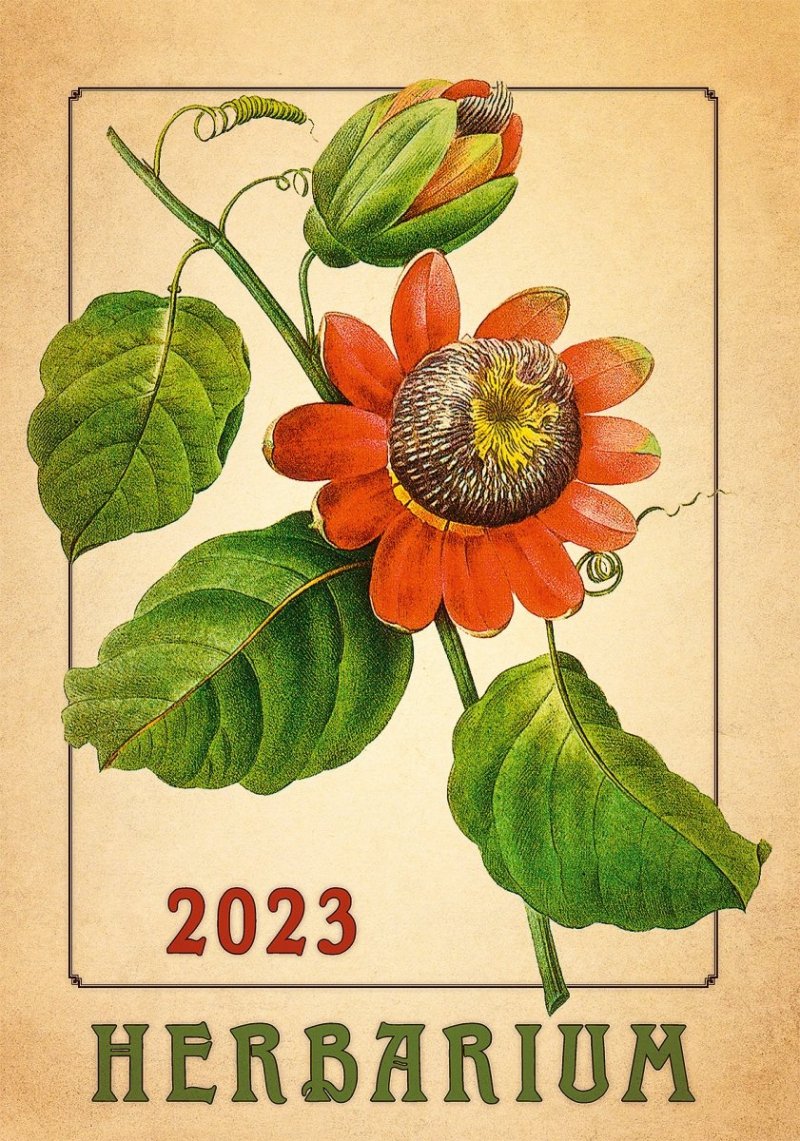 Kalendarz ścienny wieloplanszowy Herbarium 2023 - okładka 