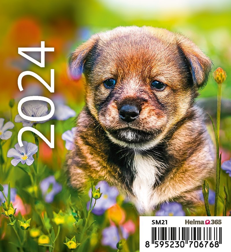 Kalendarz biurkowy 2024 Pieski (Puppies) - okładka
