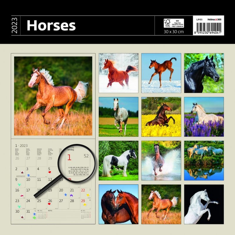 Kalendarz ścienny wieloplanszowy Horses 2023 z naklejkami - okładka tylna