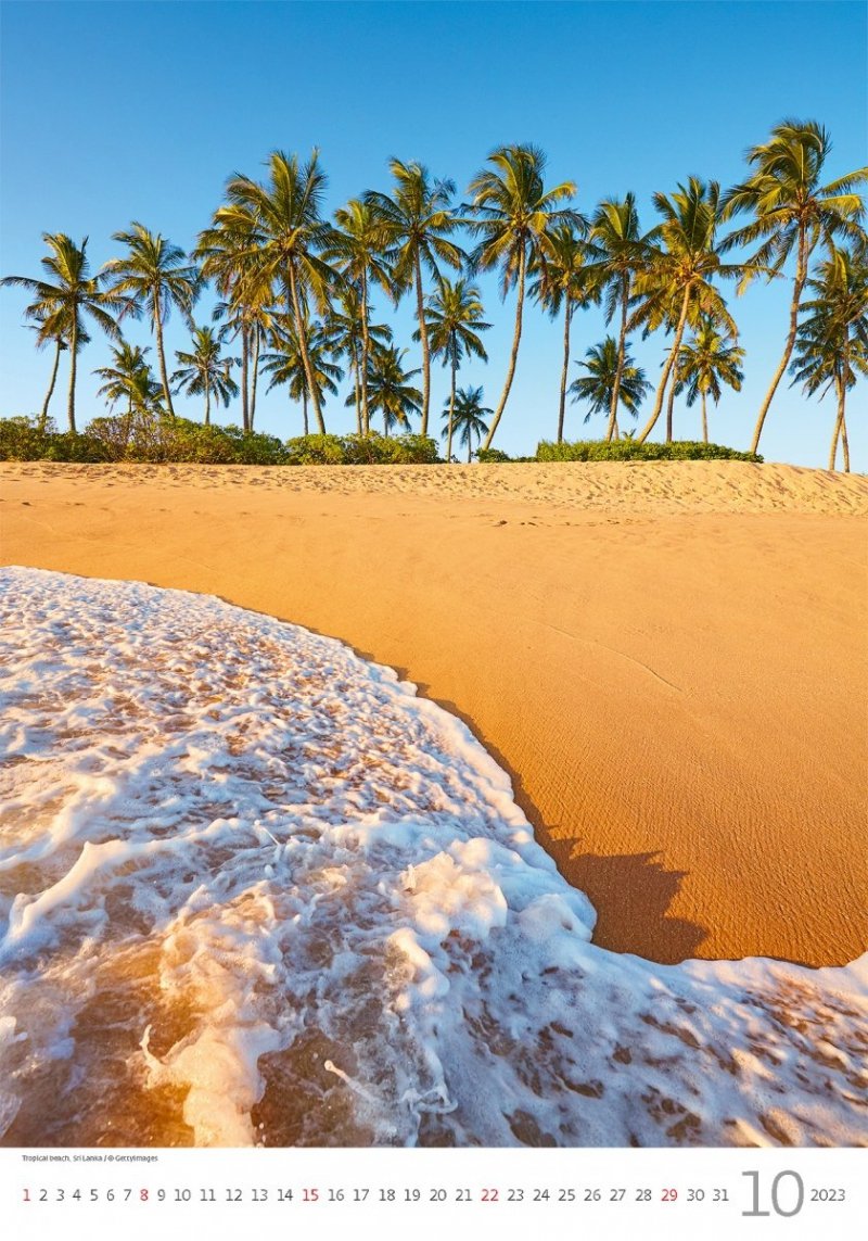 Kalendarz ścienny wieloplanszowy Tropical Beaches 2023 - październik 2023