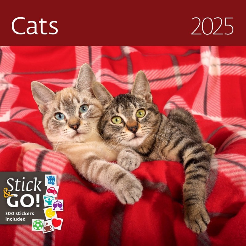 Kalendarz ścienny wieloplanszowy Cats 2025 z naklejkami - okładka
