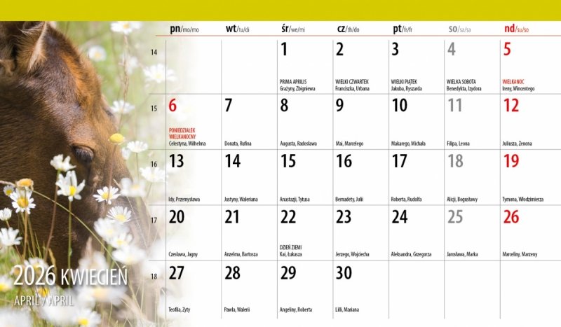 miesięczny kalendarz biurkowy na rok 2026