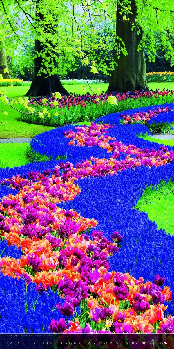 wieloplanszowy kalendarz na ścianę z dużymi zdjęciami