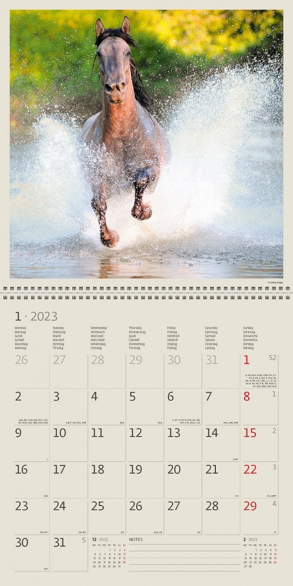 Kalendarz ścienny wieloplanszowy Horses 2023 z naklejkami  - styczeń 2023
