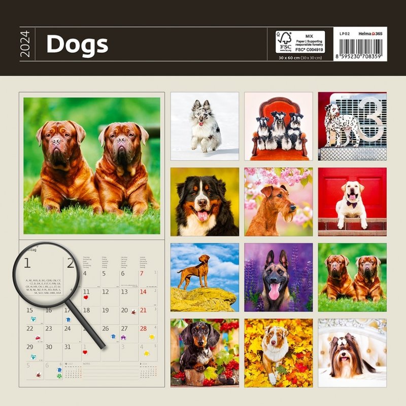 Kalendarz ścienny wieloplanszowy Dogs 2024 z naklejkami - okładka tył