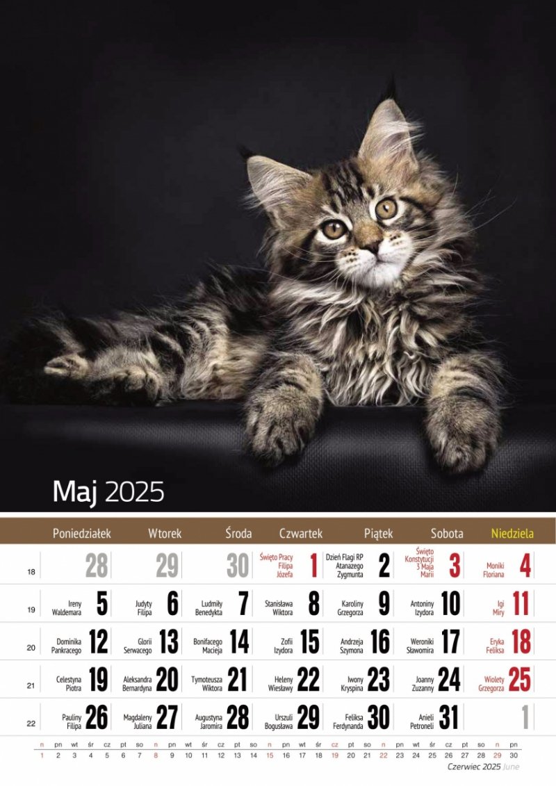 Kalendarz ścienny wieloplanszowy A4 KOTY 2025 - maj 2025
