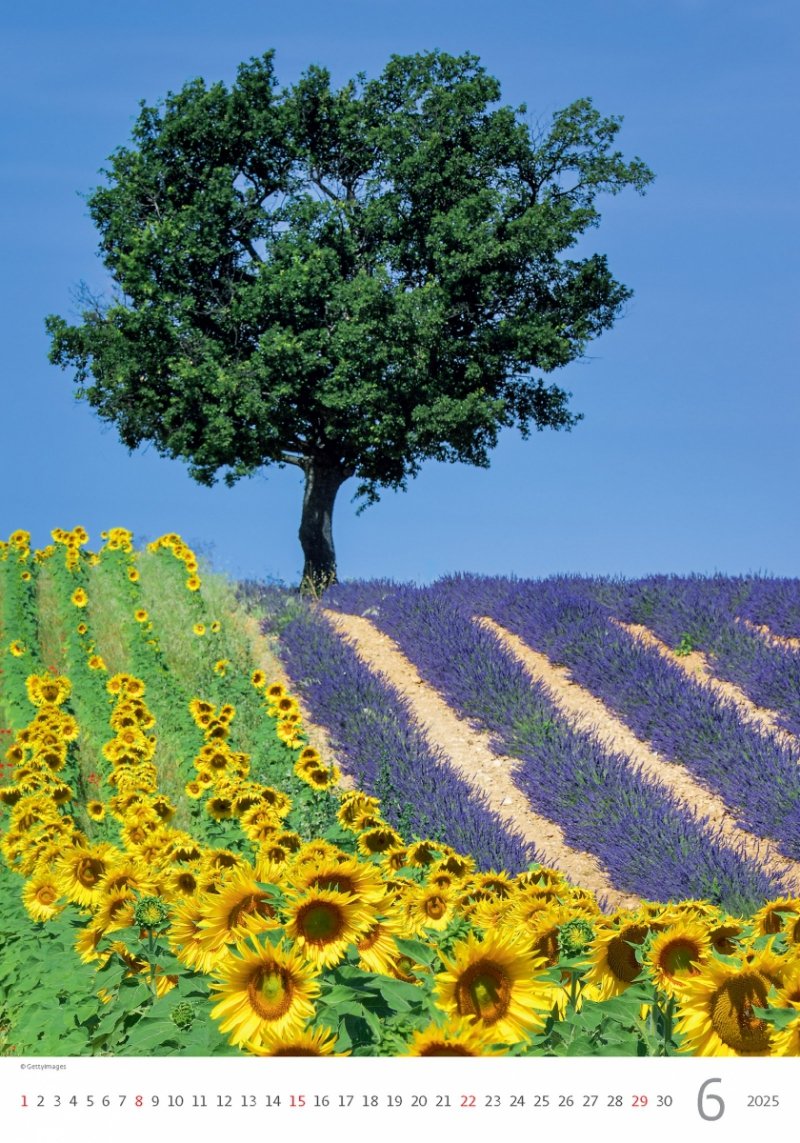 Kalendarz ścienny wieloplanszowy Provence 2025 - czerwiec 2025