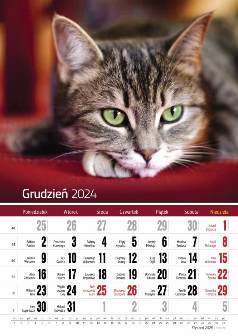 Kalendarz ścienny wieloplanszowy A4 KOTY 2025 - grudzień 2024