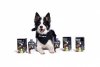 ZESTAW! Mata LickiMat® Classic Playdate™ + YOW UP! Prebiotyki Jogurt naturalny dla psa