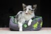 Kiwi Walker OVAL PET BED pomarańczowo-szary rozmiar L