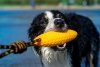 Kiwi Walker Let's Play! ZEPPELIN Maxi aport niebieski