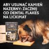 QCHEFS CAT Mminis do higieny jamy ustnej dla KOTA