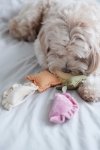 Pups & Bubs RAVIOLI zabawka węchowa 