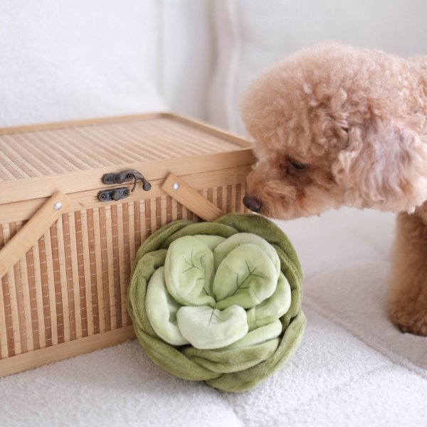 Pups &amp; Bubs SNUFFLE CABBAGE Kapusta zabawka węchowa 