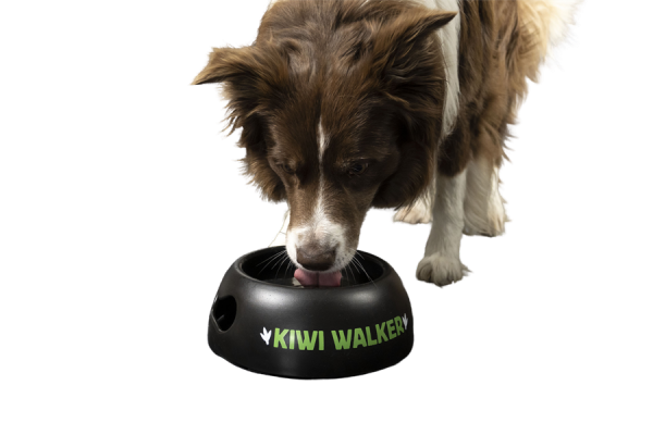 Kiwi Walker BLACK BOWL miska zielona