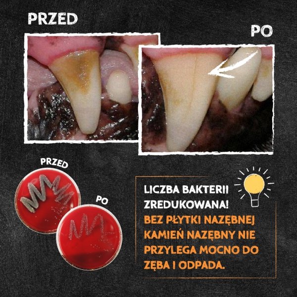 QCHEFS CAT Dental Flips do higieny jamy ustnej dla KOTA