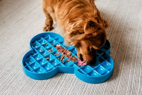 Miska spowalniająca jedzenie SLODOG® turkusowa
